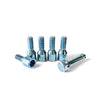 EZ Spare includes 5 pieces of lug bolts with a torx key